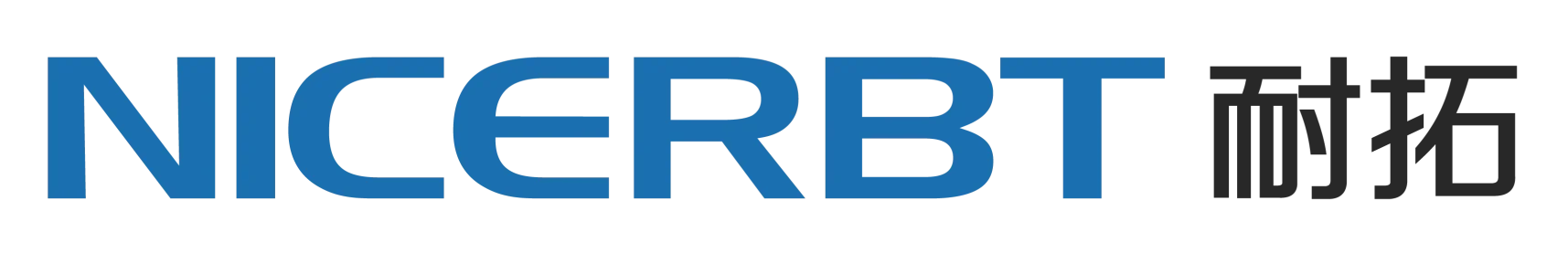 NICERBT LOGO(1)-01